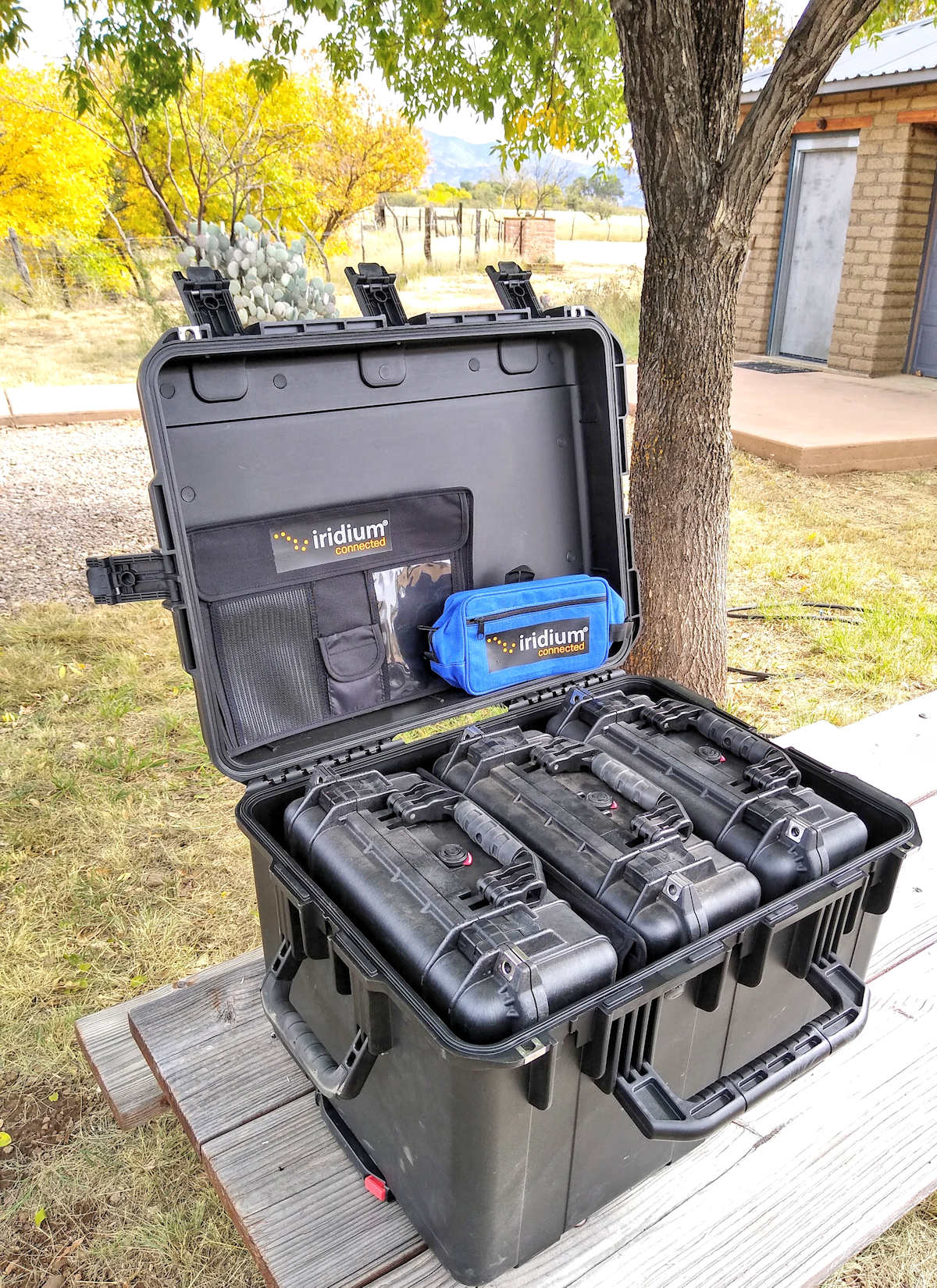IcomMJSales3in1IcomCacheNov720